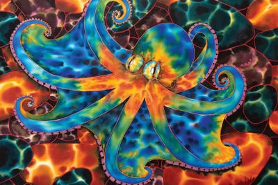 Caribbean Octopus - Stone by Daniel Jean-Baptiste framed canvas print