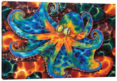 Caribbean Octopus - Stone Canvas Art Print - Octopus Art