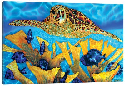 Hawksbill & Tangs Canvas Art Print - Reptile & Amphibian Art