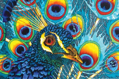 Insane Peacock by Daniel Jean-Baptiste canvas print