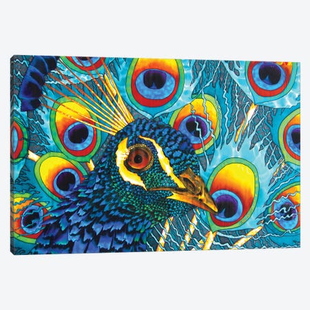 Insane Peacock Canvas Print #JBT29} by Daniel Jean-Baptiste Canvas Print