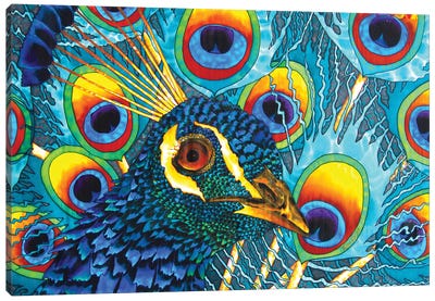 Insane Peacock Canvas Art Print - Daniel Jean-Baptiste