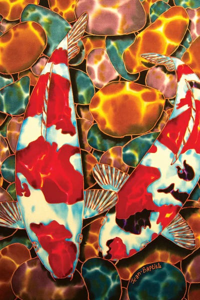 Koi: Koi In Pebble Pond by Daniel Jean-Baptiste