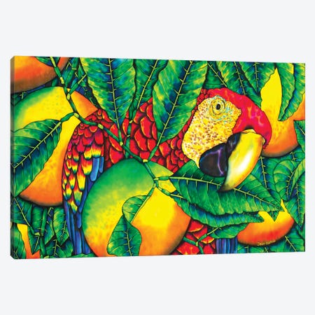 Macaw & Oranges Canvas Print #JBT40} by Daniel Jean-Baptiste Canvas Print