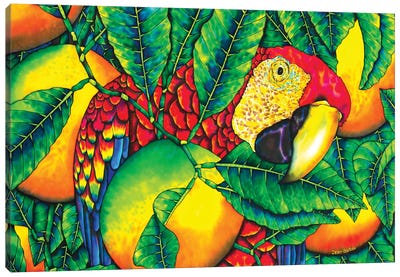 Macaw & Oranges Canvas Art Print - Macaw Art