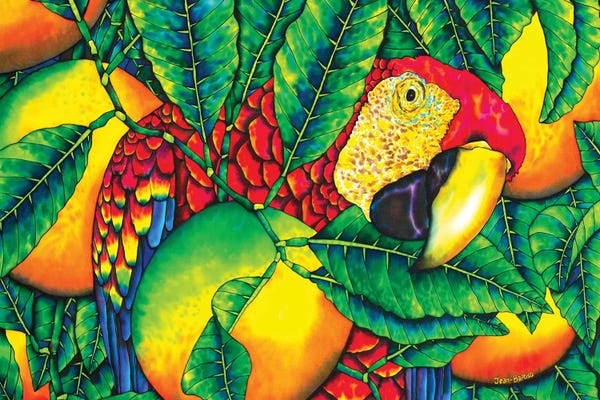 Macaws: Macaw & Oranges by Daniel Jean-Baptiste