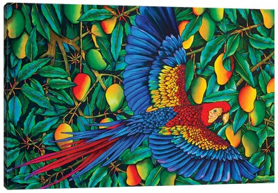 Macaw In Mango Tree Canvas Art Print - Parrot Art