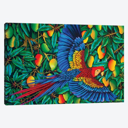 Macaw In Mango Tree Canvas Print #JBT41} by Daniel Jean-Baptiste Art Print