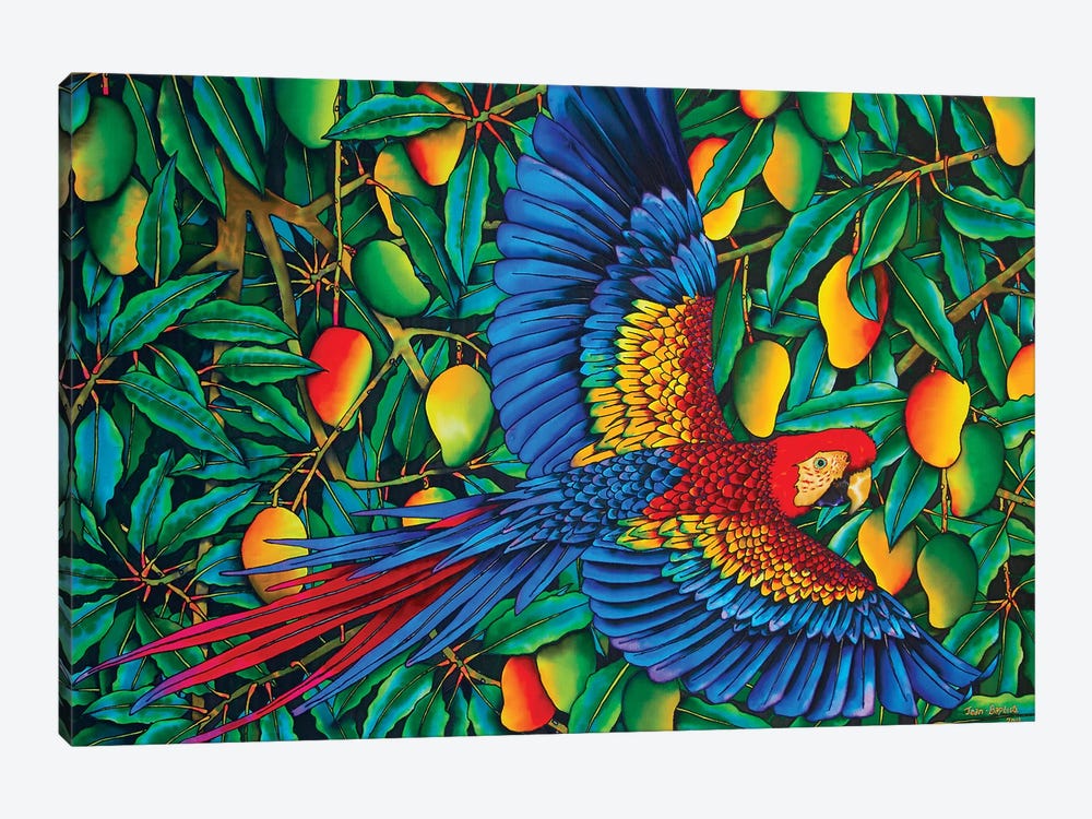 Macaw In Mango Tree by Daniel Jean-Baptiste 1-piece Canvas Wall Art