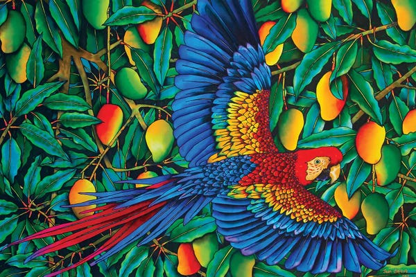 Macaws: Macaw In Mango Tree by Daniel Jean-Baptiste