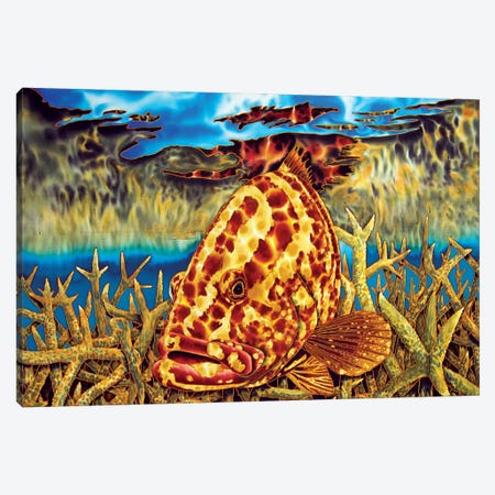 Nassau Grouper Canvas Print #JBT44} by Daniel Jean-Baptiste Canvas Artwork
