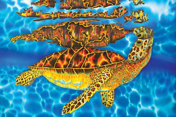 Turtles: Oasis by Daniel Jean-Baptiste