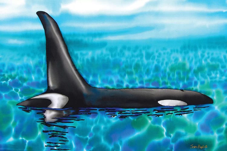 Orca