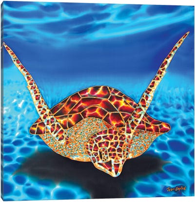 Paradise Canvas Art Print - Turtle Art