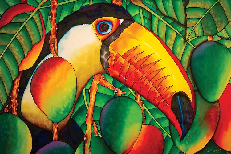 Paradise Toucan