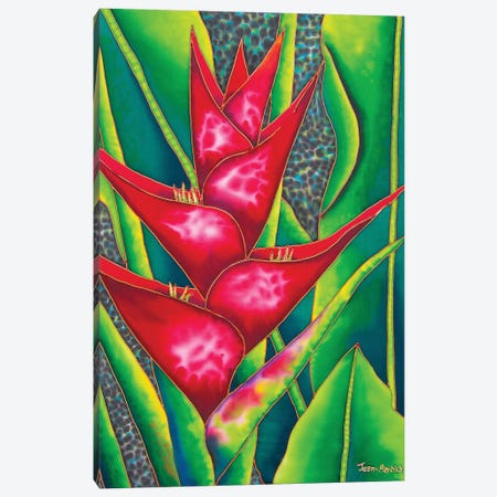 Red Heliconia Canvas Print #JBT51} by Daniel Jean-Baptiste Canvas Art