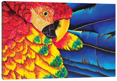 Scarlet Macaw Canvas Art Print - Daniel Jean-Baptiste