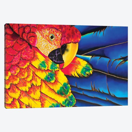 Scarlet Macaw Canvas Print #JBT53} by Daniel Jean-Baptiste Canvas Art