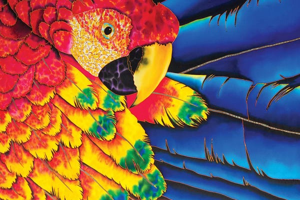 The Art Of The Feather: Scarlet Macaw by Daniel Jean-Baptiste