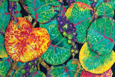 Seagrape by Daniel Jean-Baptiste canvas print