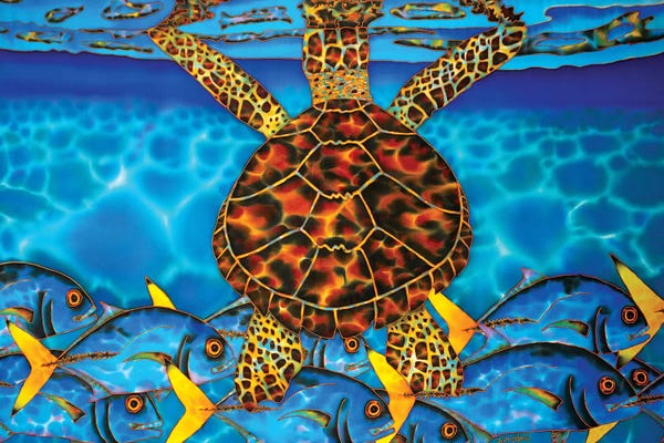 Turtles: Solitude by Daniel Jean-Baptiste