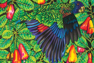 St. Lucia Amazona Versicolor by Daniel Jean-Baptiste canvas print
