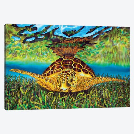 Turtle Grass Canvas Print #JBT60} by Daniel Jean-Baptiste Canvas Print