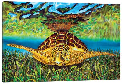 Turtle Grass Canvas Art Print - Reptile & Amphibian Art