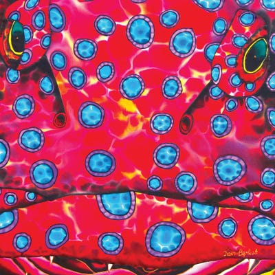 Up Close by Daniel Jean-Baptiste canvas print