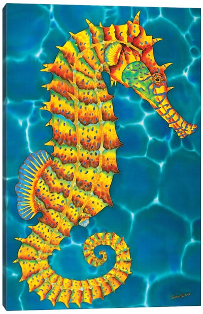 Jamaican Seahorse Canvas Art Print - Seahorse Art