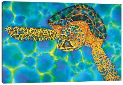 Opal Sea Canvas Art Print - Turtle Art