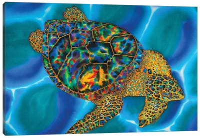 Caribbean Opal Canvas Art Print - Turtle Art