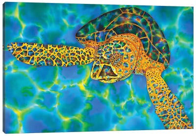 Opal Sea Canvas Art Print - Turtle Art