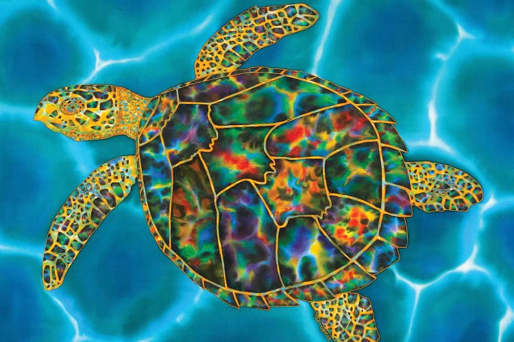 Rainbow Opal Turtle