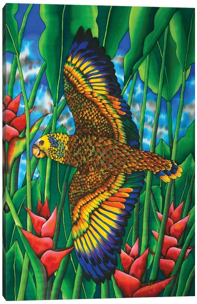 Saint Vincent Amazon Canvas Art Print - Parrot Art
