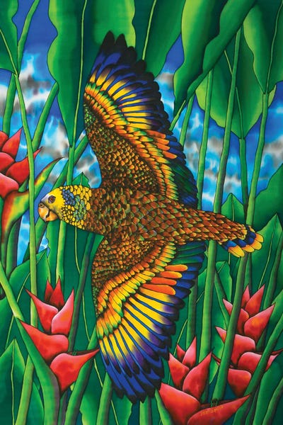 Parrots: Saint Vincent Amazon by Daniel Jean-Baptiste