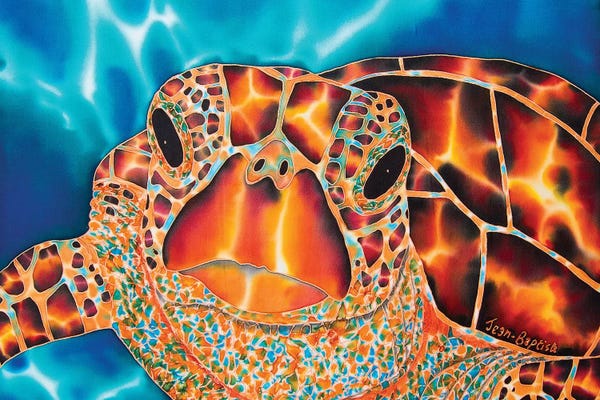 Turtles: Amitie Marigot Bay by Daniel Jean-Baptiste