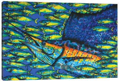 Sailfish & Bait Fish Canvas Art Print - Daniel Jean-Baptiste