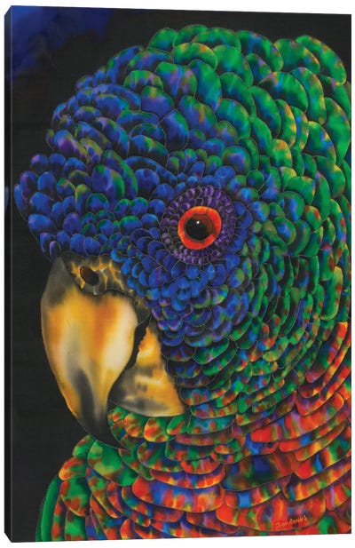St. Lucia Parrot Canvas Art Print - Caribbean Culture
