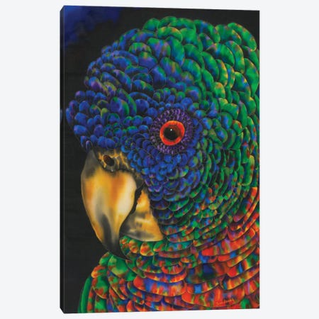 St. Lucia Parrot Canvas Print #JBT74} by Daniel Jean-Baptiste Art Print