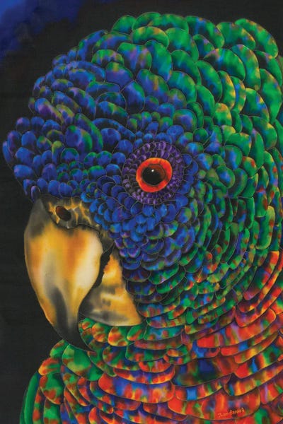 The Art Of The Feather: St. Lucia Parrot by Daniel Jean-Baptiste