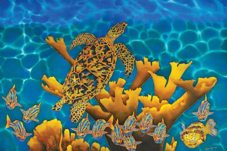 Balembouche Turtle by Daniel Jean-Baptiste wall art