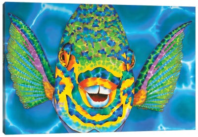 Queen Of Barbados Canvas Art Print - Fish Art