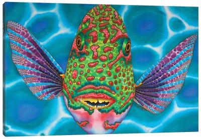 Spotted Parrotfish Canvas Art Print - Daniel Jean-Baptiste
