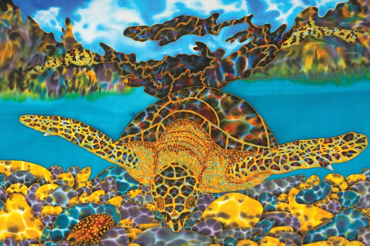 Hawksbill Sea Turtle