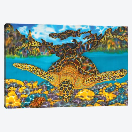 Hawksbill Sea Turtle Canvas Print #JBT78} by Daniel Jean-Baptiste Canvas Wall Art