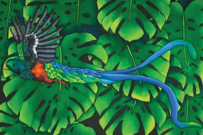 Resplendent Quetzal by Daniel Jean-Baptiste canvas print