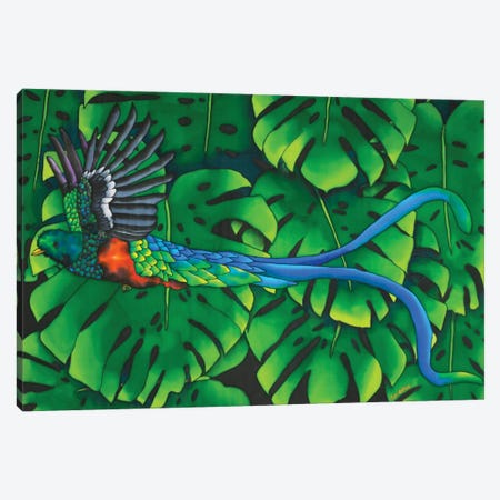 Resplendent Quetzal Canvas Print #JBT79} by Daniel Jean-Baptiste Canvas Artwork