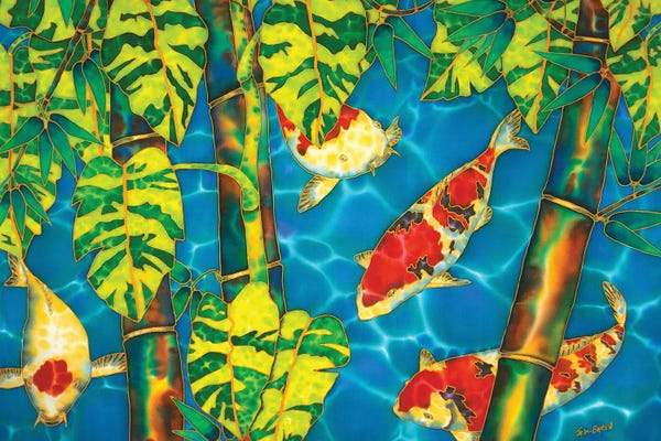 Monstera Koi