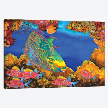 Jade Mountain Parrotfish Canvas Print #JBT81} by Daniel Jean-Baptiste Canvas Print